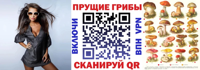 купить наркотики цена  Апшеронск  Псилоцибиновые грибы Psilocybine cubensis 