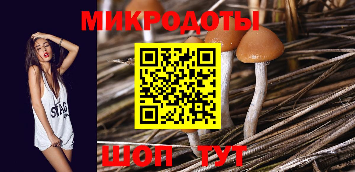 Галлюциногенные грибы мицелий  где продают наркотики  Апшеронск 