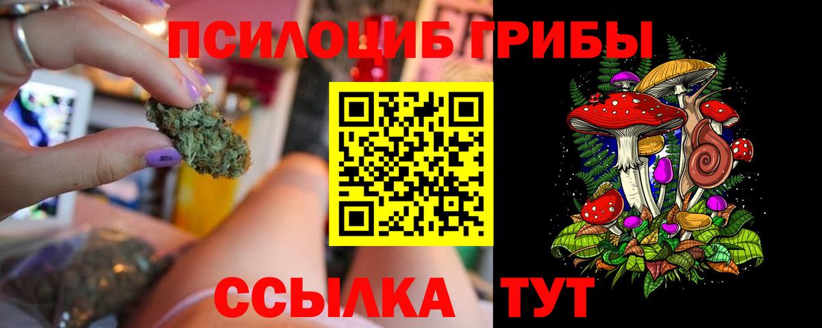 Псилоцибиновые грибы мухоморы Апшеронск